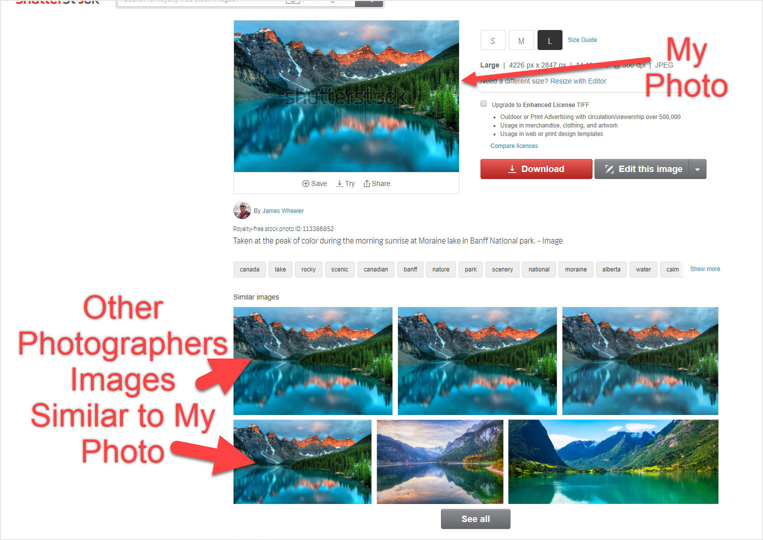 How to Use Shutterstock Images on Facebook Legally