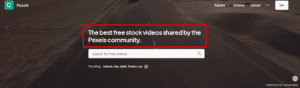 How to Get Shutterstock Footage for Free in 2025