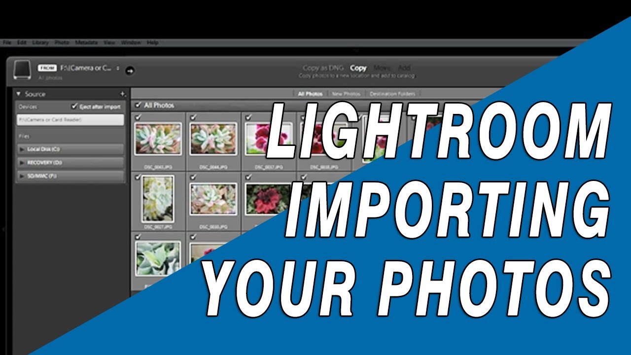 How to Upload Photos to Shutterstock from Lightroom