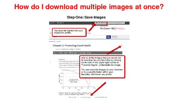 How to Download Multiple Images on Shutterstock at Once