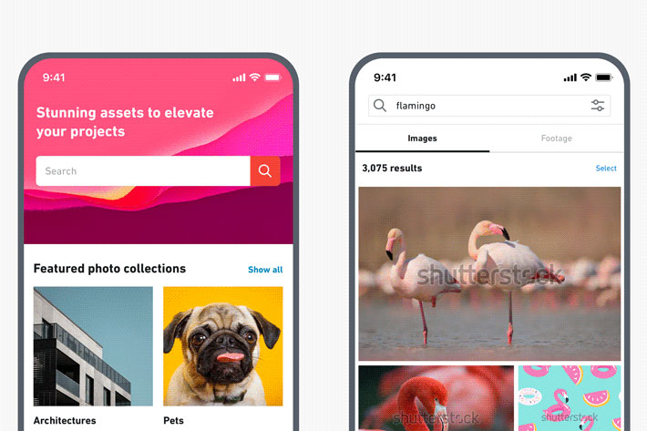How to See Recently Viewed Photos in Shutterstock