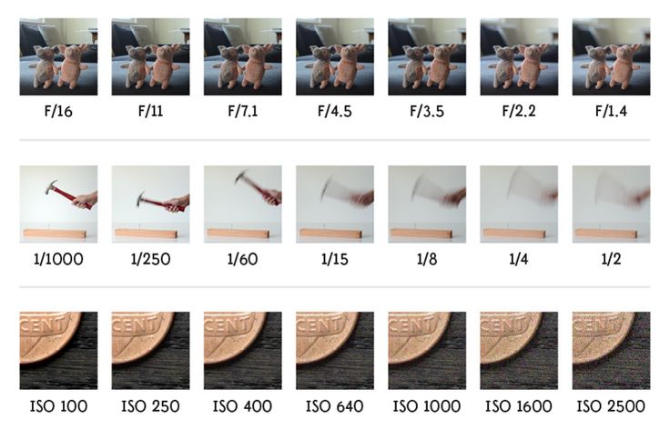 Shutter Speed Chart and Tips on How to Master It BorrowLenses Blog 