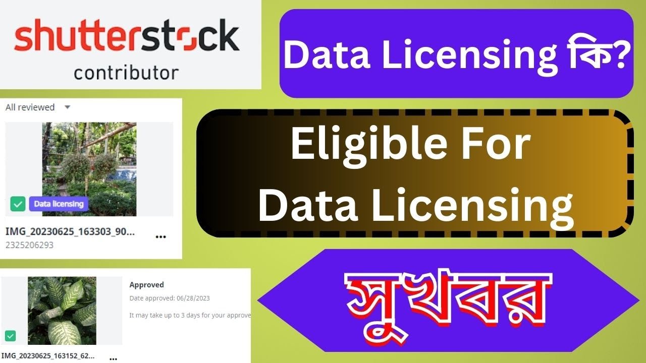 How Much Does Shutterstock Pay for Data Licensing?