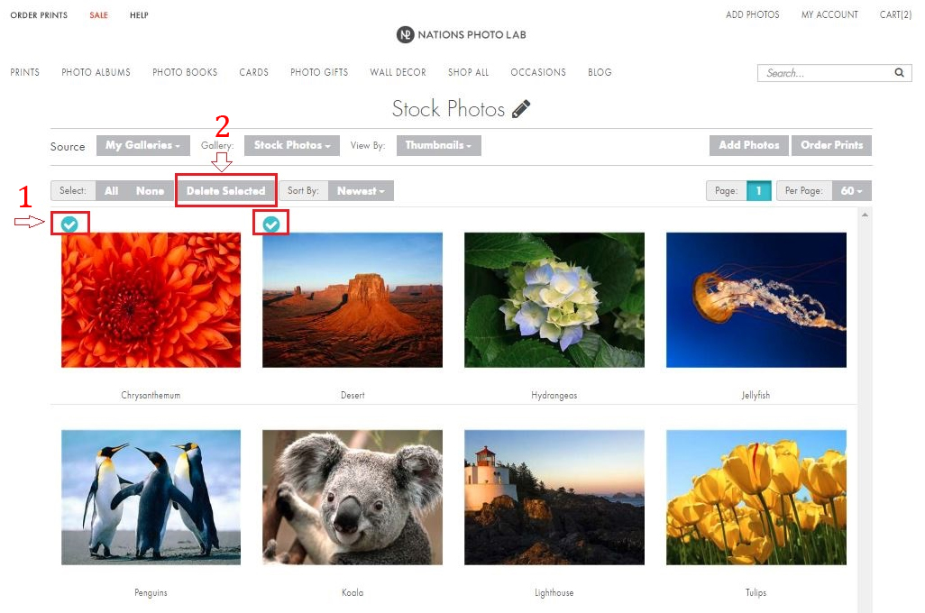 How to delete an image from your Gallery Nations Photo Lab