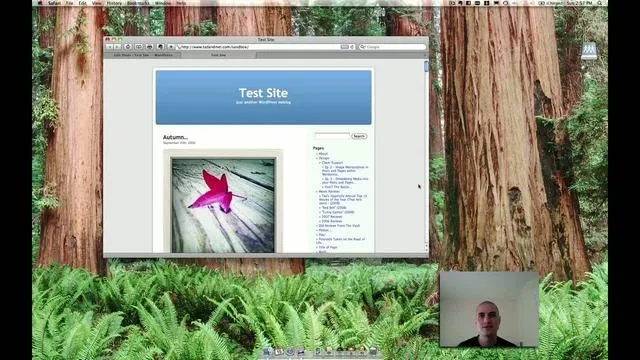 How to Find the Lightbox in Shutterstock for Organization