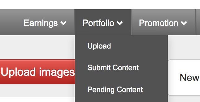 Ultimate Guide to Uploading Photos to Shutterstock Successfully