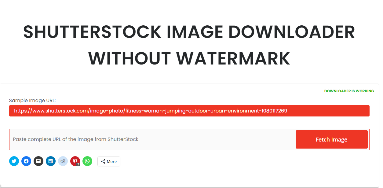 How to Download Your Own Photo from Shutterstock