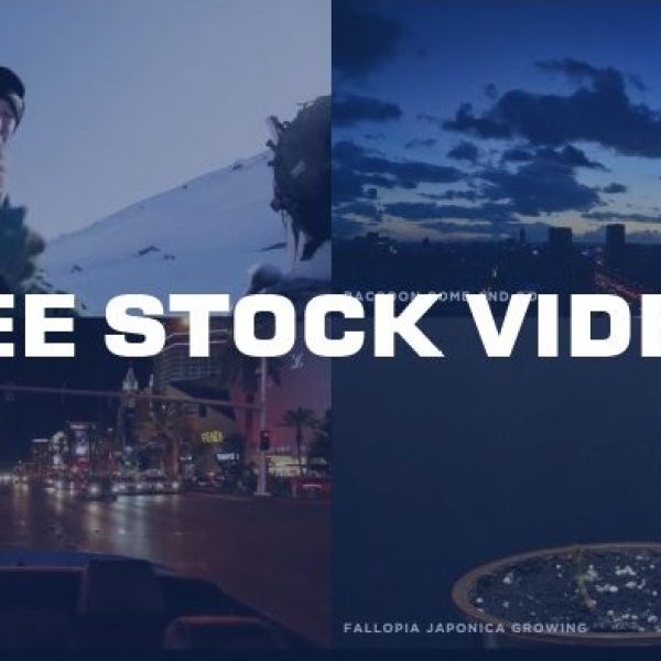 14 Free Stock Footage Sites to Download Videos Without Watermark 