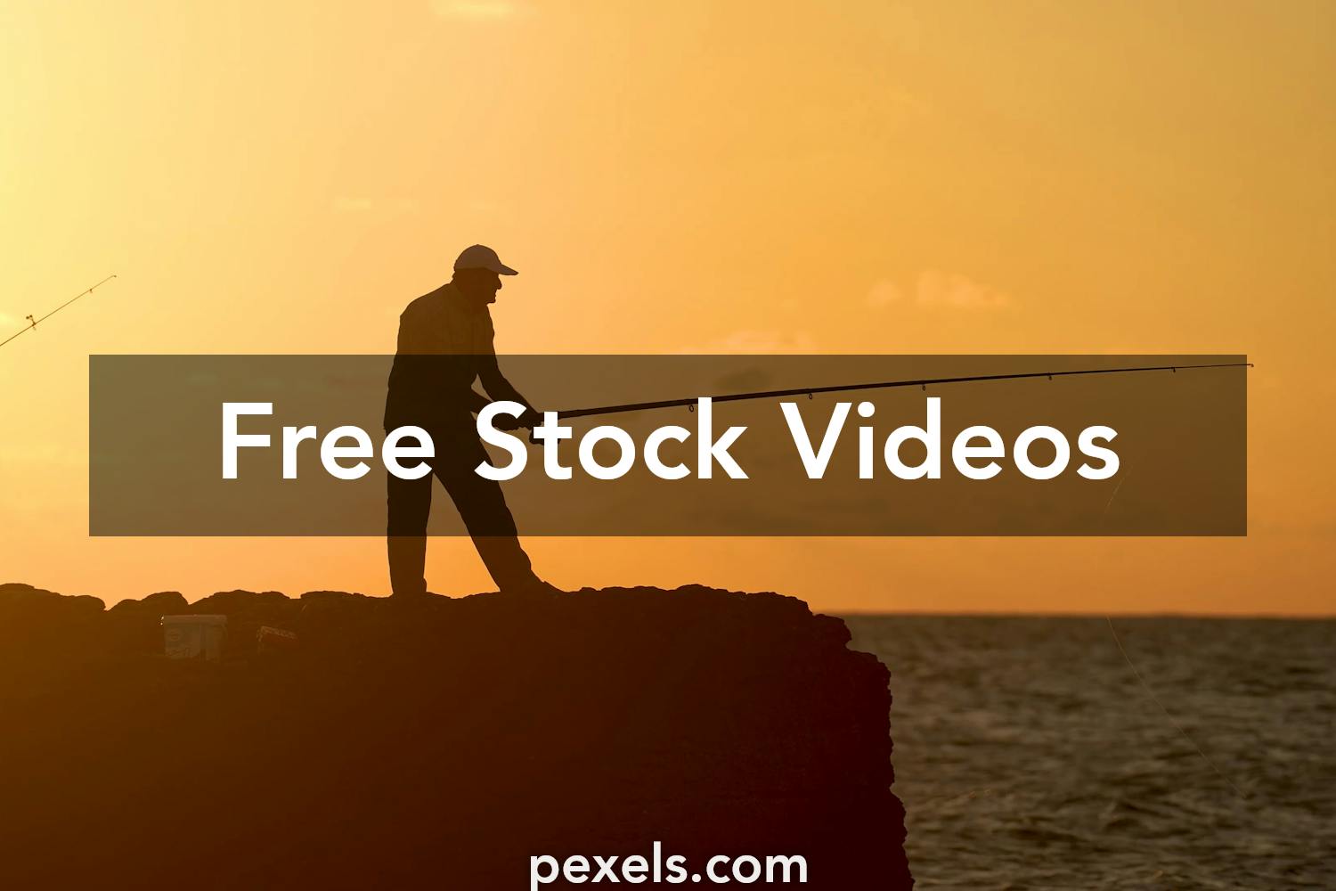 How to Get Free Shutterstock Footage for Videos