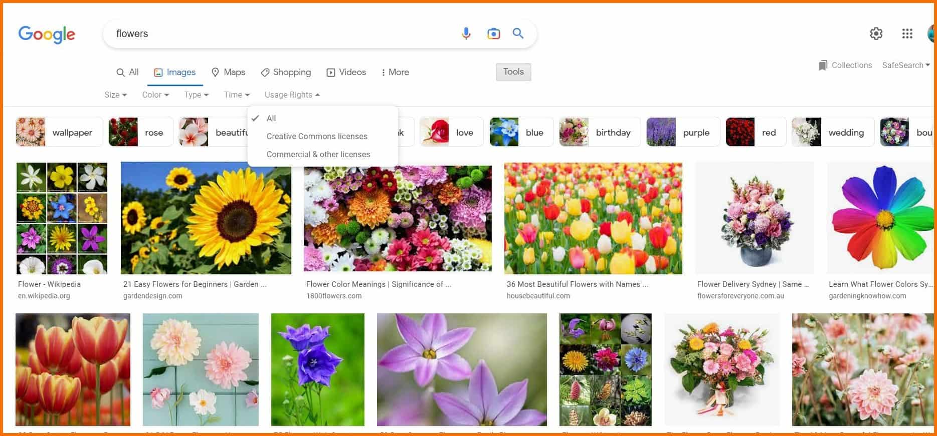 How to Credit a Photo Back to Shutterstock Properly?
