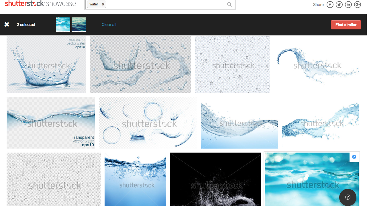 How to Filter Shutterstock by File Type for Easy Search
