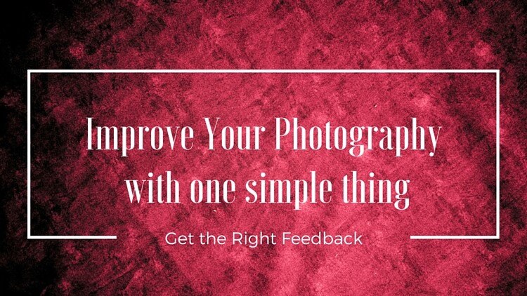 How to Optimize Images for Shutterstock’s Critique Forum