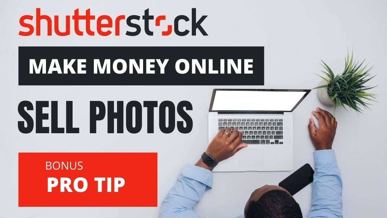 Stock Photography How To Upload Your Photos and Videos on Shutterstock 
