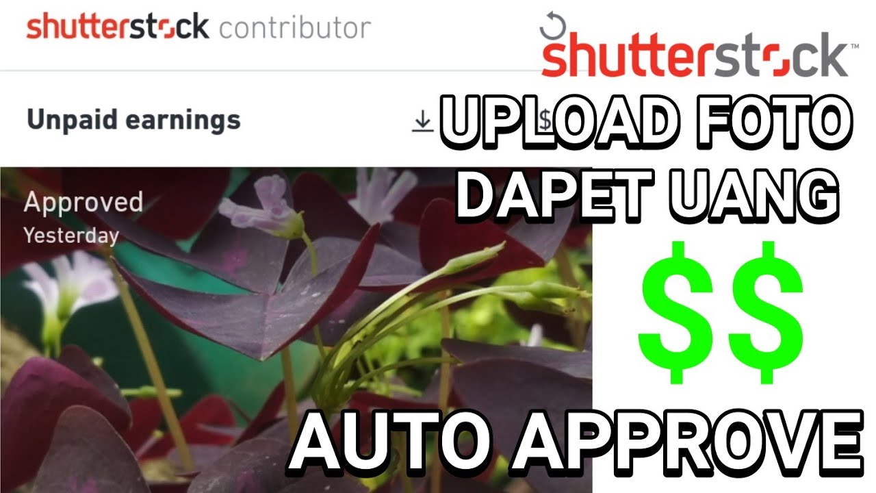 How to Submit Photos to Shutterstock for Approval