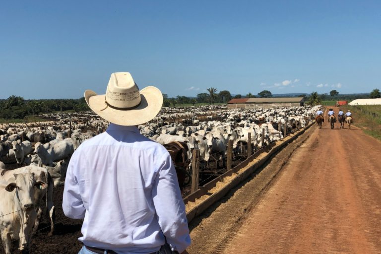 Reviewing April Cattle Feedlot Findings Southern Farm Network