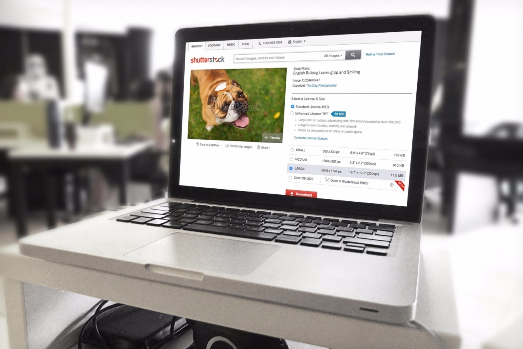 How Shutterstock Is Training Its System to Help You Find Better Photos 