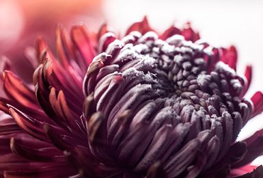 RoyaltyFree Stock Photography Shutterstock Stock photography free 