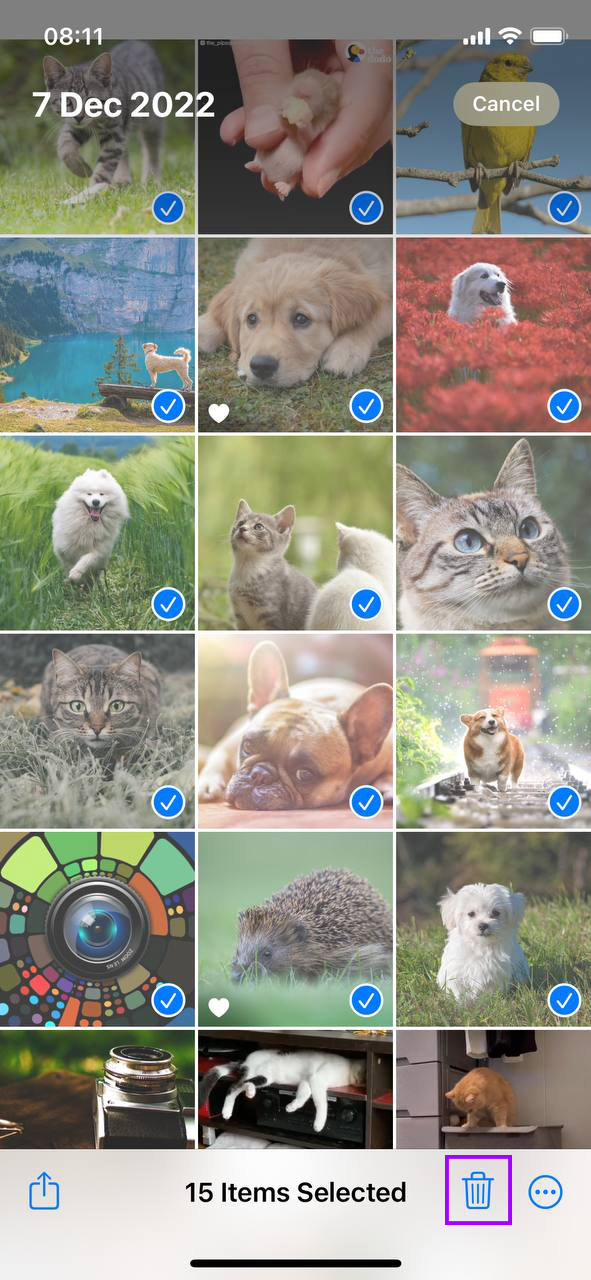 How to Delete Uploaded Photos from Shutterstock Easily?