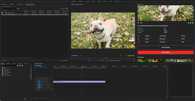  Shutterstock 8 Premiere Pro 