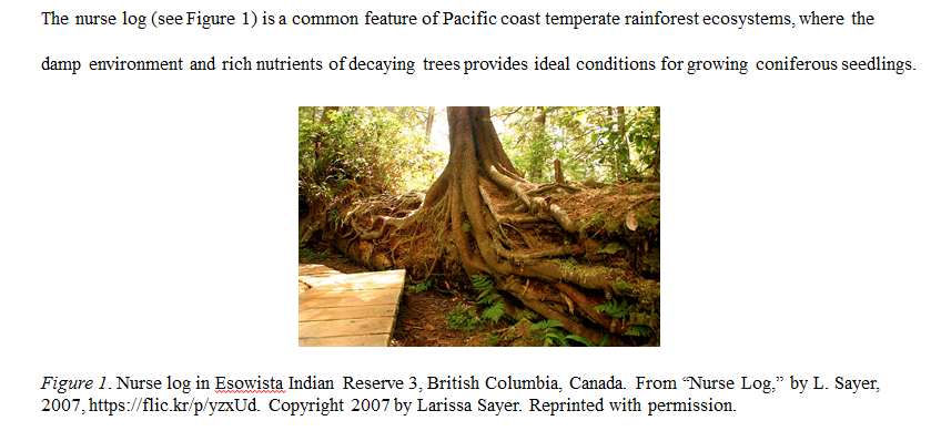 Finding and using online images Citing SFU Library