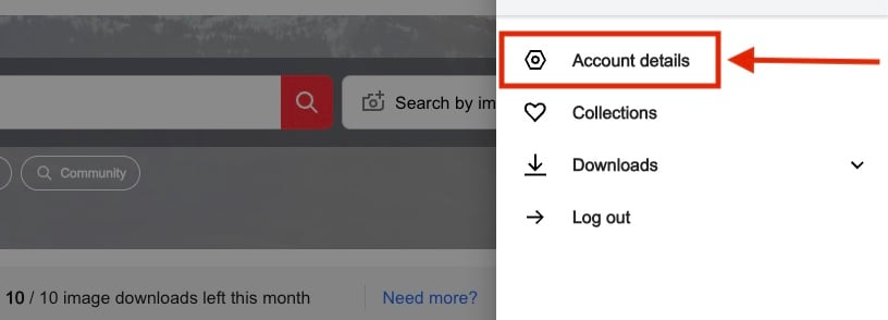 How does Shutterstock work 17 FAQs answered