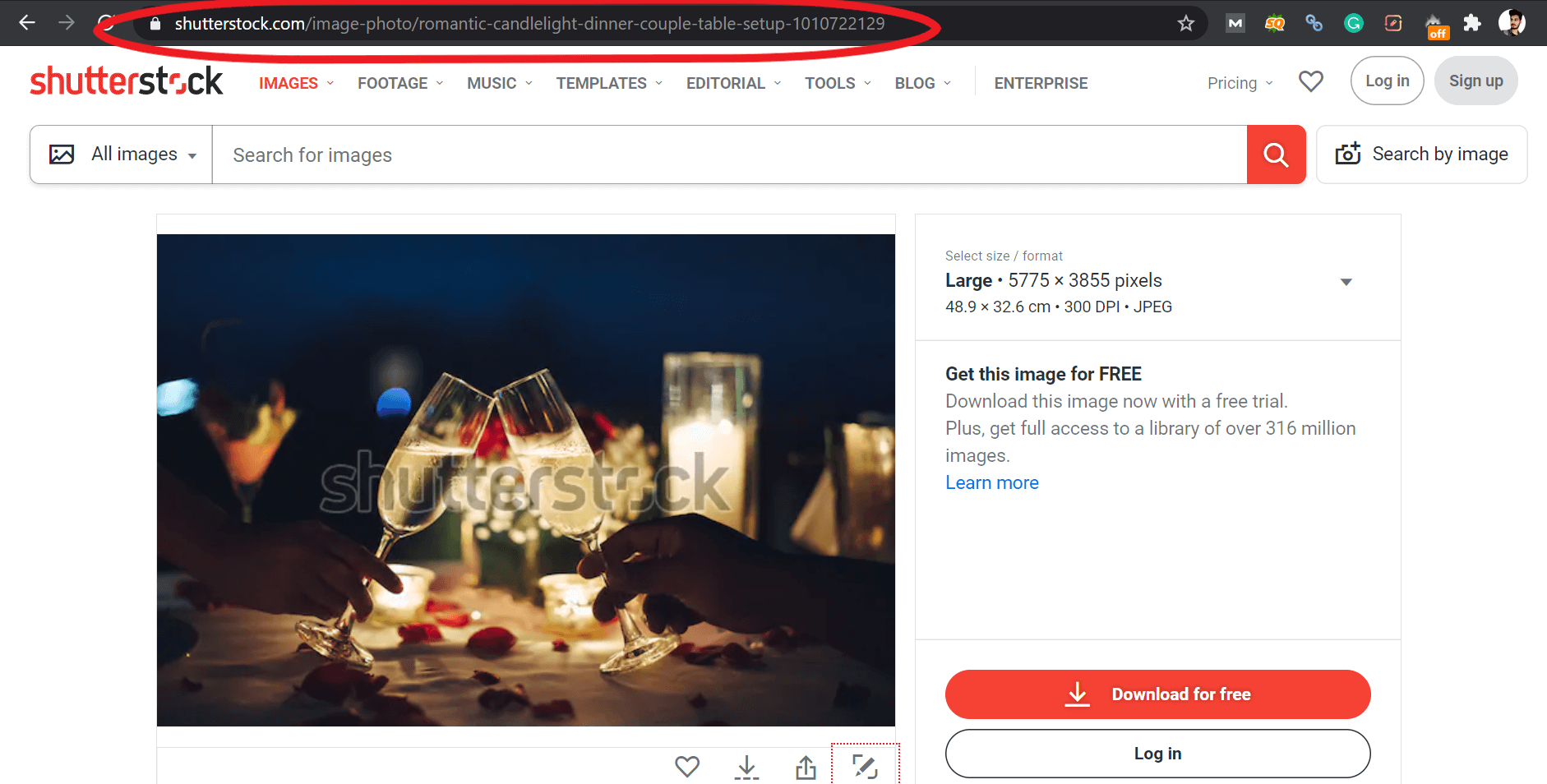 Download Shutterstock Images Without Watermark