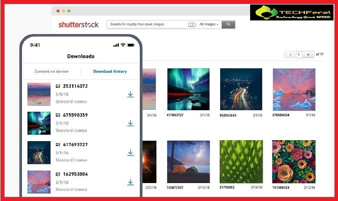 How to Download Shutterstock Images Without Watermarks