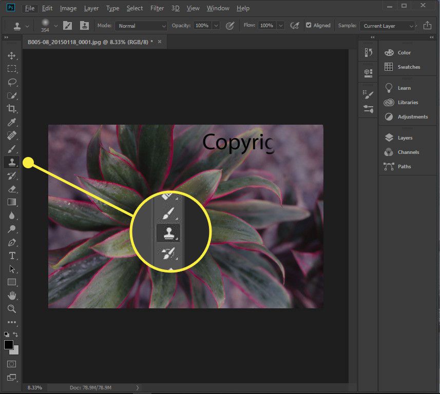 How to Remove Watermarks From Photos