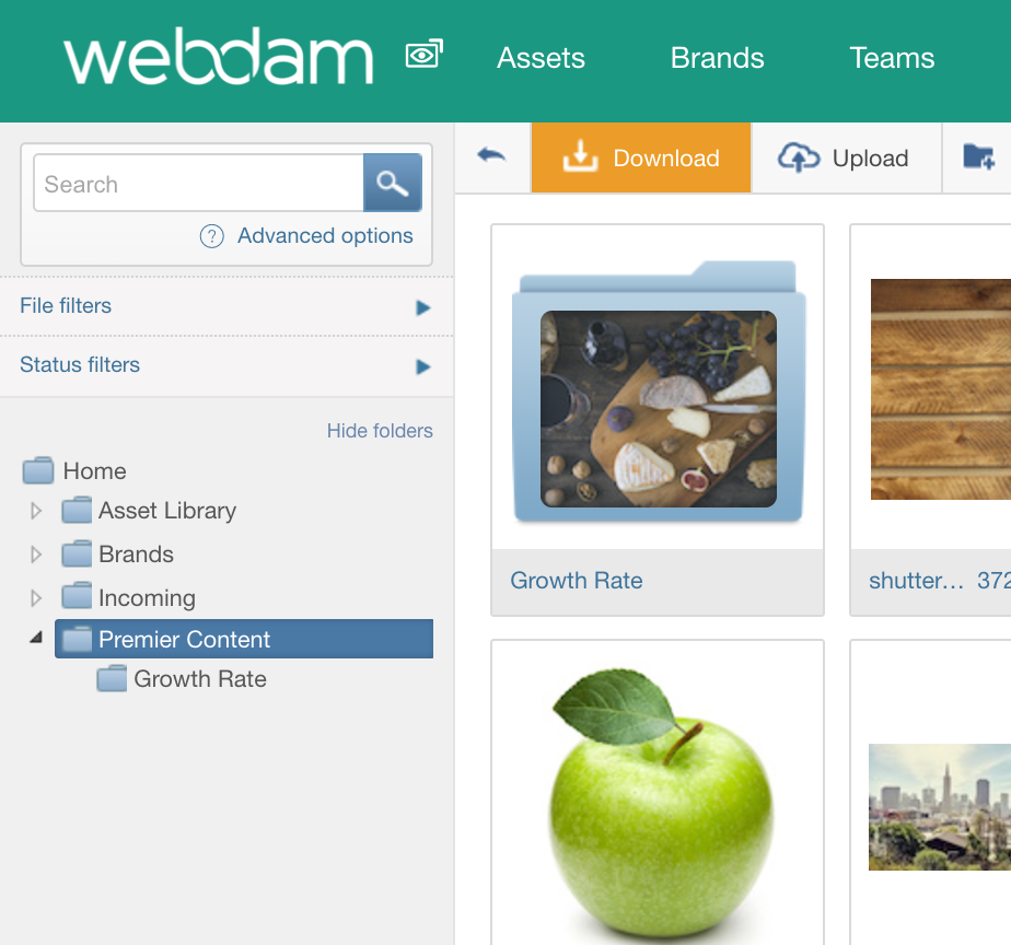 Shutterstock Search Premier Integration DAMsuccess by Webdam
