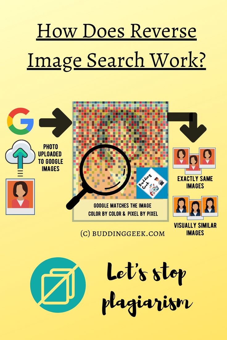 How to Do a Reverse Image Search on Shutterstock?