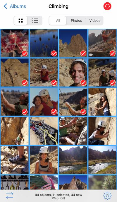How to Delete Uploaded Photos from Shutterstock?