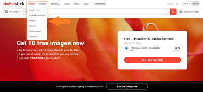 How to Check Your Download History on Shutterstock?