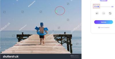 How to Delete the Shutterstock Logo on Images?