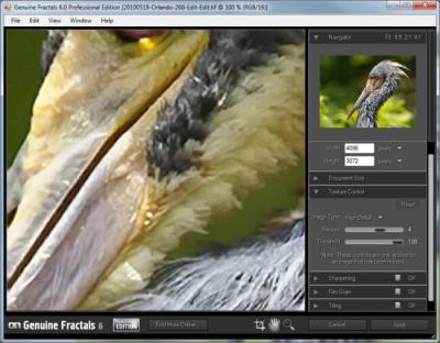 How to Enlarge Photos for Shutterstock Submissions