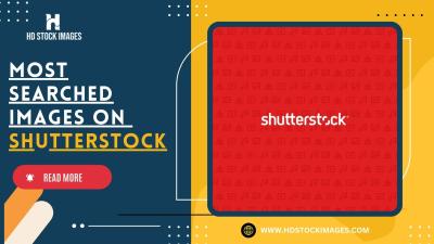 How Does Shutterstock Pick Popular Photos?
