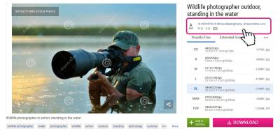 How to Cite Shutterstock Images in Blog Posts?