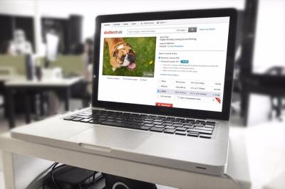 How to Find the Name of a Shutterstock Model