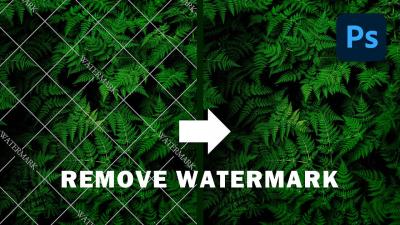 How to Remove Watermarks from Shutterstock Footage