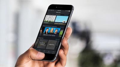 How to See Recently Viewed Photos in Shutterstock