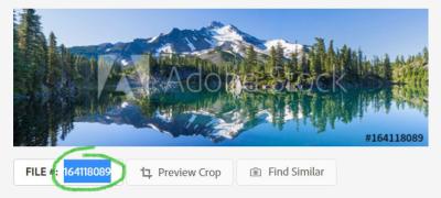 How to Look for a Shutterstock Image by ID