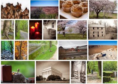 How to Ensure Your Shutterstock Photos Get Accepted