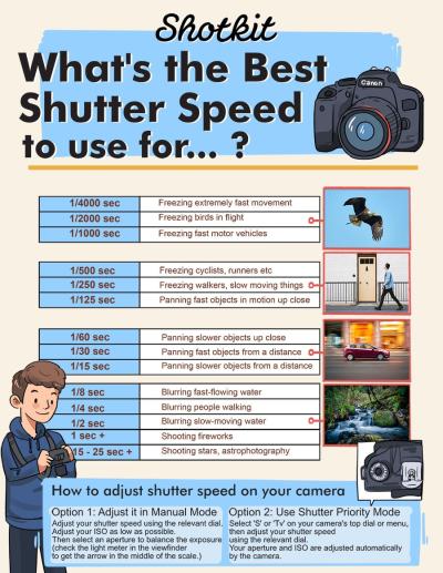 How Long Does Shutterstock Take to Review Your Photos?