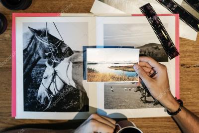 How to Check If Your Photo Is Being Used on Shutterstock