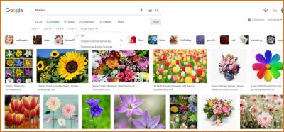 How to Credit a Photo Back to Shutterstock Properly?