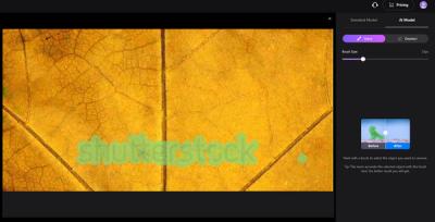 How to Take the Shutterstock Watermark Off Images