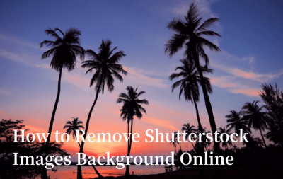 How to Delete an Image from Shutterstock’s Portfolio