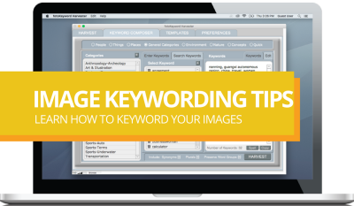 How to Write Keywords for Shutterstock Photos