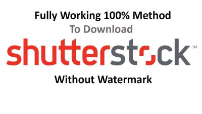 How to Download Shutterstock Images from a Lightbox