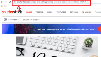How to Download Free Shutterstock Images Without Watermarks