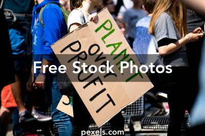 How to Download Free Shutterstock Images for Non-Profits?